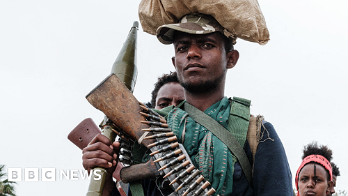 Ethiopia: Thousands of Tigray rebels killed, military claims