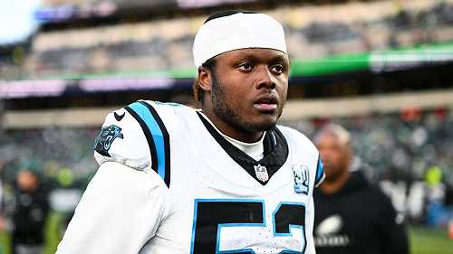 Panthers LB Johnson concussed in car accident