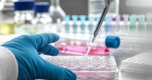 States suing to stop steep federal cuts to medical research funding