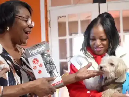 New York grandmother expresses her joy after reuniting with missing dog of 11 years - Face2Face Africa