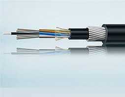 Insights on the difference: Armored Cable vs Shielded Cable