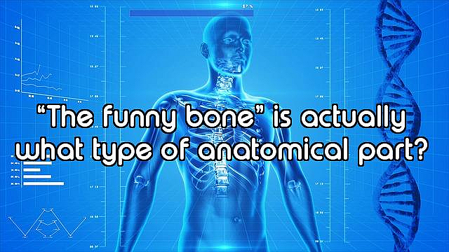 How Well Do You Know the Human Body?