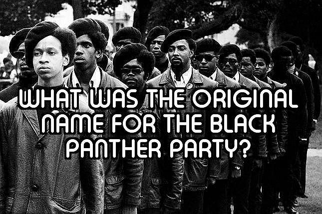 How Well Do You Know The Black Panther Party