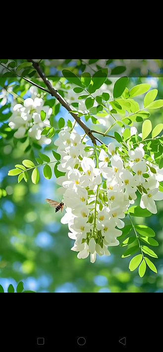 #MentalHealth .if you love my post how can will I know