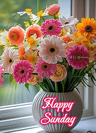 Happy Sunday#happy #sunday #happysunday