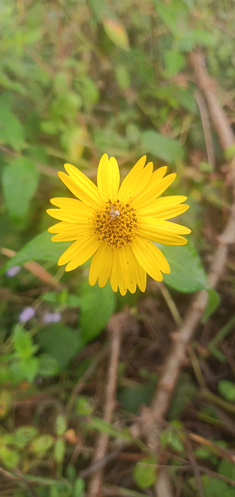 @#lovers#entertainment