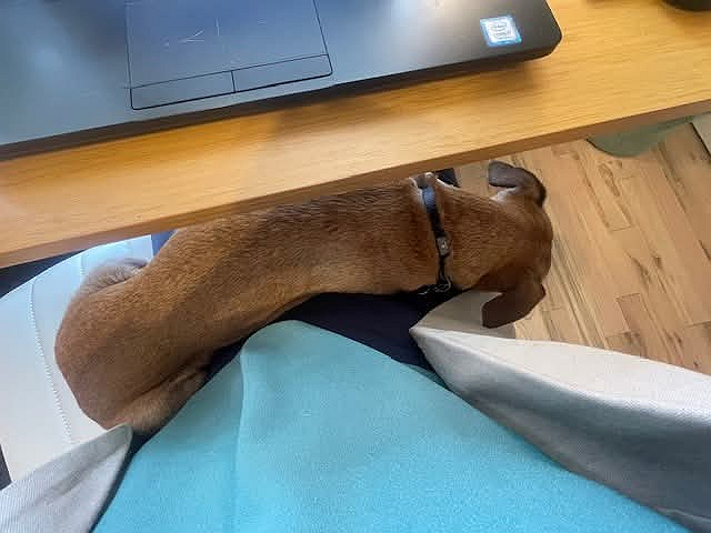 I cant stop myself from crying when Calico Skies by Paul McCartney starts to play. You have to skip...