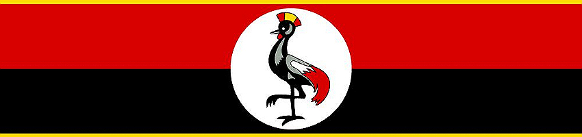 Uganda Networking Hub